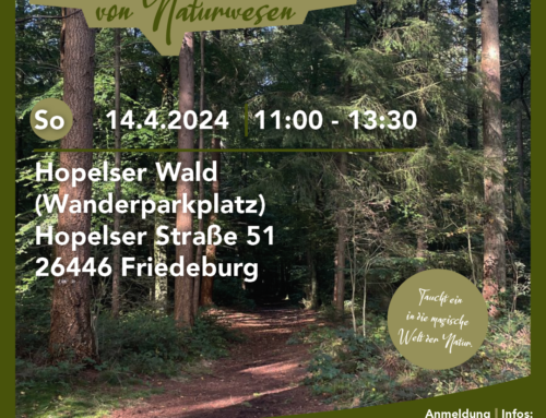 Auf den Spuren der Naturwesen – Hopelser Wald, Friedeburg