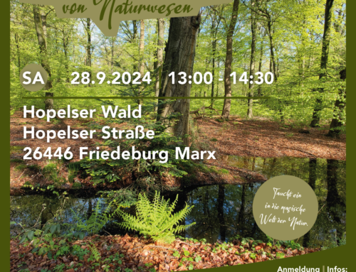 Sa. 28. September 2024 Auf den Spuren von Naturwesen – Hopelser Wald