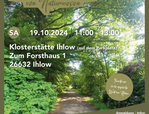 Sa. 19.10.2024 Auf den Spuren von Naturwesen – Forst Klosterstätte Ihlow