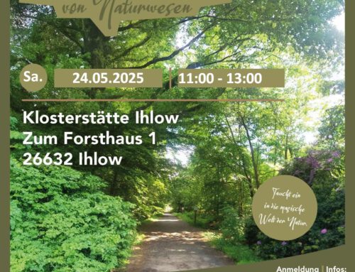 Sa. 24.05.2025 Auf den Spuren von Naturwesen –  Klosterforst Ihlorst