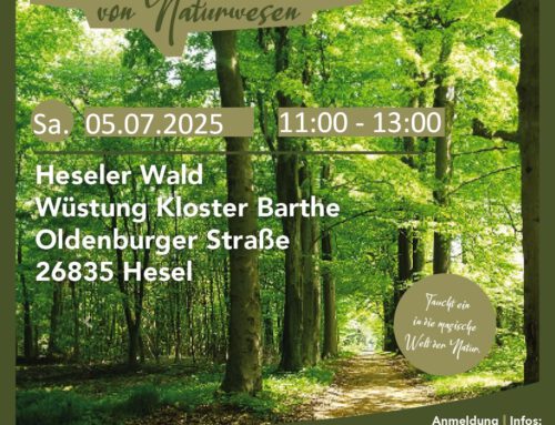 Sa. 05.07.2025 Heseler Wald – Auf den Spuren von Naturwesen