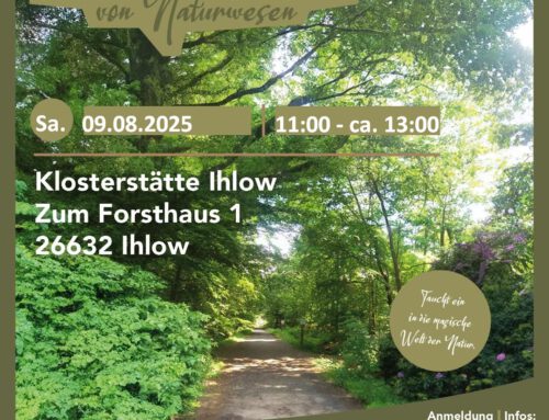 09.08.2025 Klostertätte Ihlow – Auf den Spuren von Naturwesen