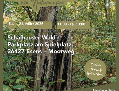 Sa. 21.03.2026 Schafhauser Wald – Auf den Spuren von Naturwesen