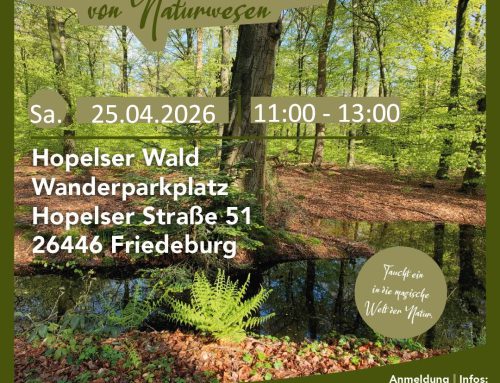 Sa. 25.04.2026 Hopelser Wald – Auf den Spuren von Naturwesen